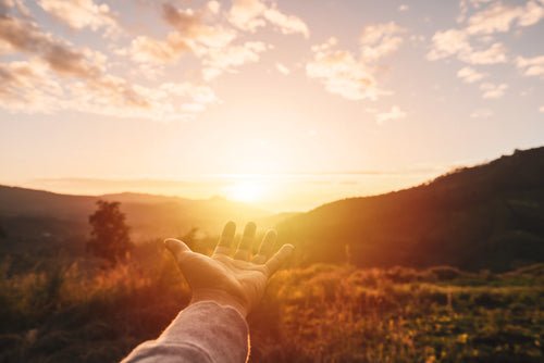 The Power of Sunlight - Koko-Kamel.com