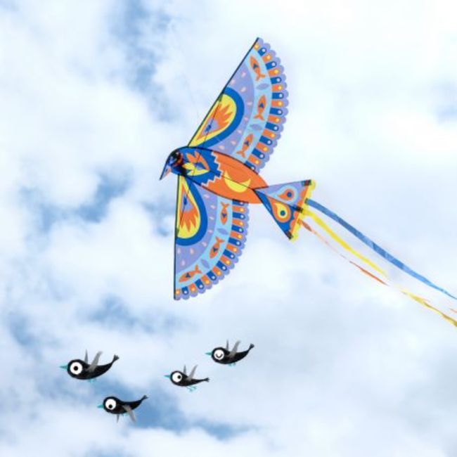 Maxi Bird Kite - Koko-Kamel.com